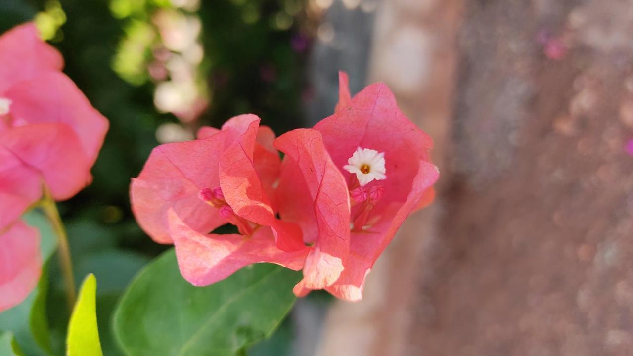 Kanthi Resorts Badami Bāgalkot Buitenkant foto